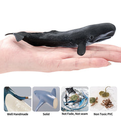 THINKBAY north atlantic right whale figurine for kid-friendly display.
