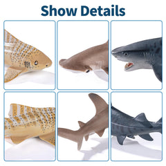 ThinkBay Blue shark figure supports learning about ocean predators during play.