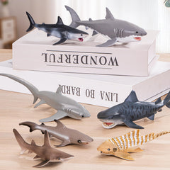 ThinkBay Spotted shark toy sparks curiosity during bath time and storytelling.