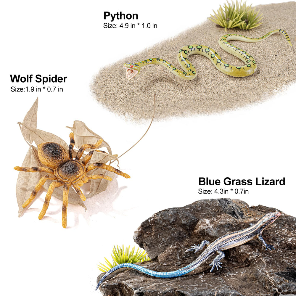 THINKBAY snake figure inspires habitat storytelling and visual science exploration.
