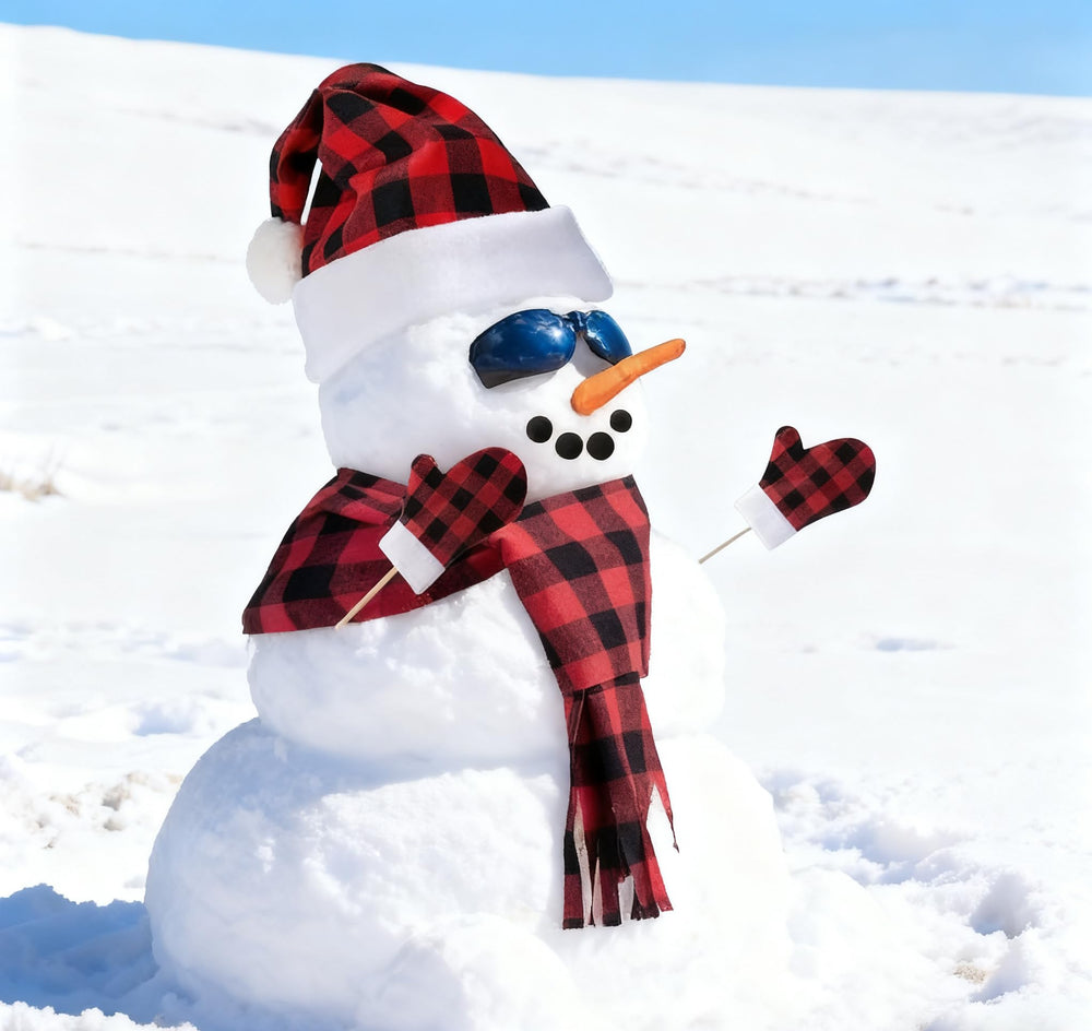 Threan carrot nose provides bright, playful detail for winter decor.