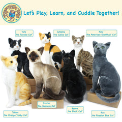 TigerHart Amy plush care guide, hand wash for long-lasting softness.