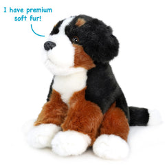 TigerHart Bastien Bernese face with a friendly smile invites play.