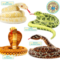TigerHart Bernard Brown Python care instructions for easy at-home maintenance.