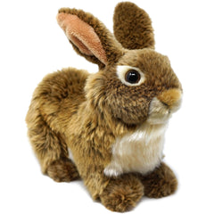 TigerHart Brigid brown rabbit closeup face, cuddly charm and soft plush fur for comforting hugs.
