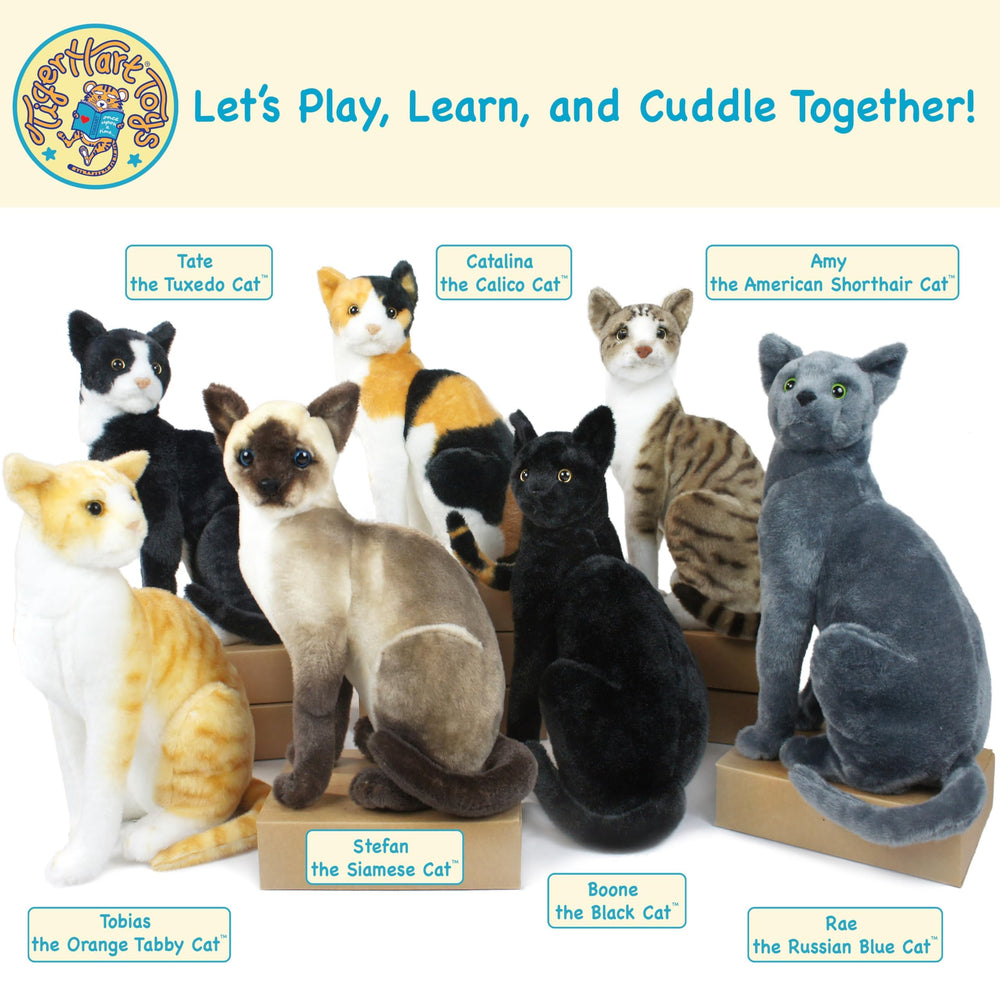 TigerHart Stefan care guide image showing proper washing