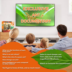 Tigerific live ants purchase option includes care steps for beginners.