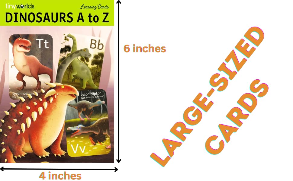 Tiny Worlds dinosaur alphabet card D featuring Diplodocus for letter recognition