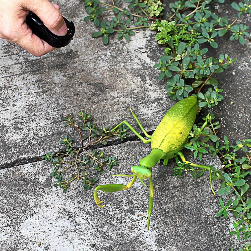 Tipmant RC Praying Mantis batteries and compartments shown for quick setup.