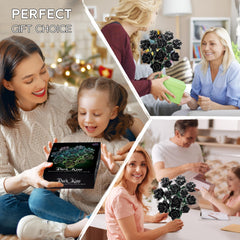 Tobocoy eternal blooms require no maintenance