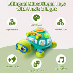 ToddlerCley light-up-toy-buttons provides engaging visuals and easy interaction