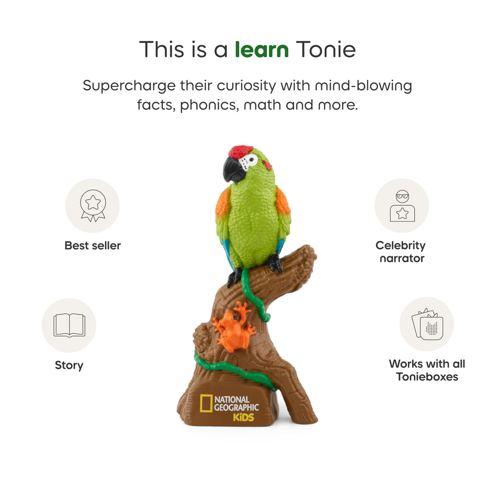 Tonies Amazon Rainforest canopy scene enhances imaginative playtime.