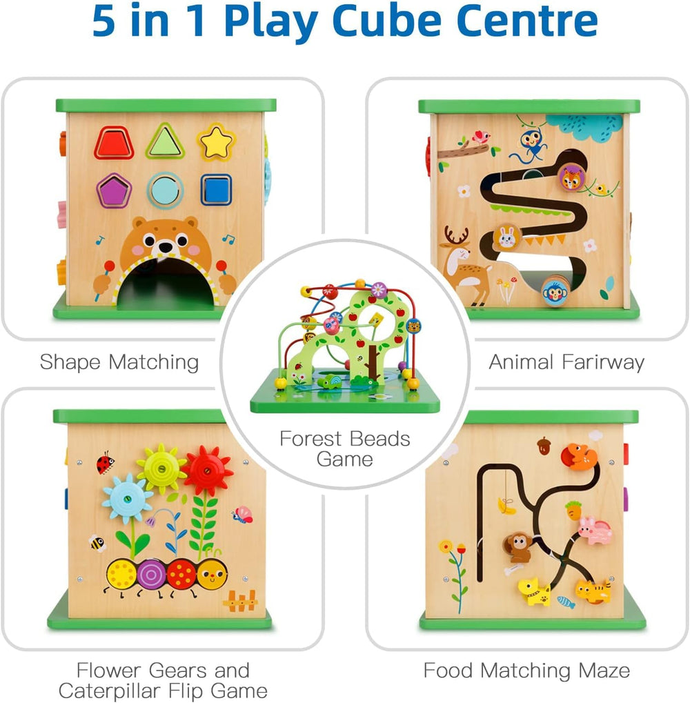 TOOKYLAND shape sorter side promoting early problem solving