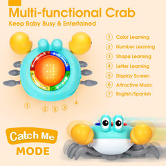 TooyBing musical crawling crab toy front-facing with interactive controls