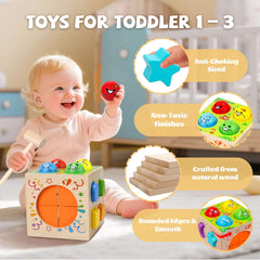 Tooysea hidden box toy reveals discovery and problem solving