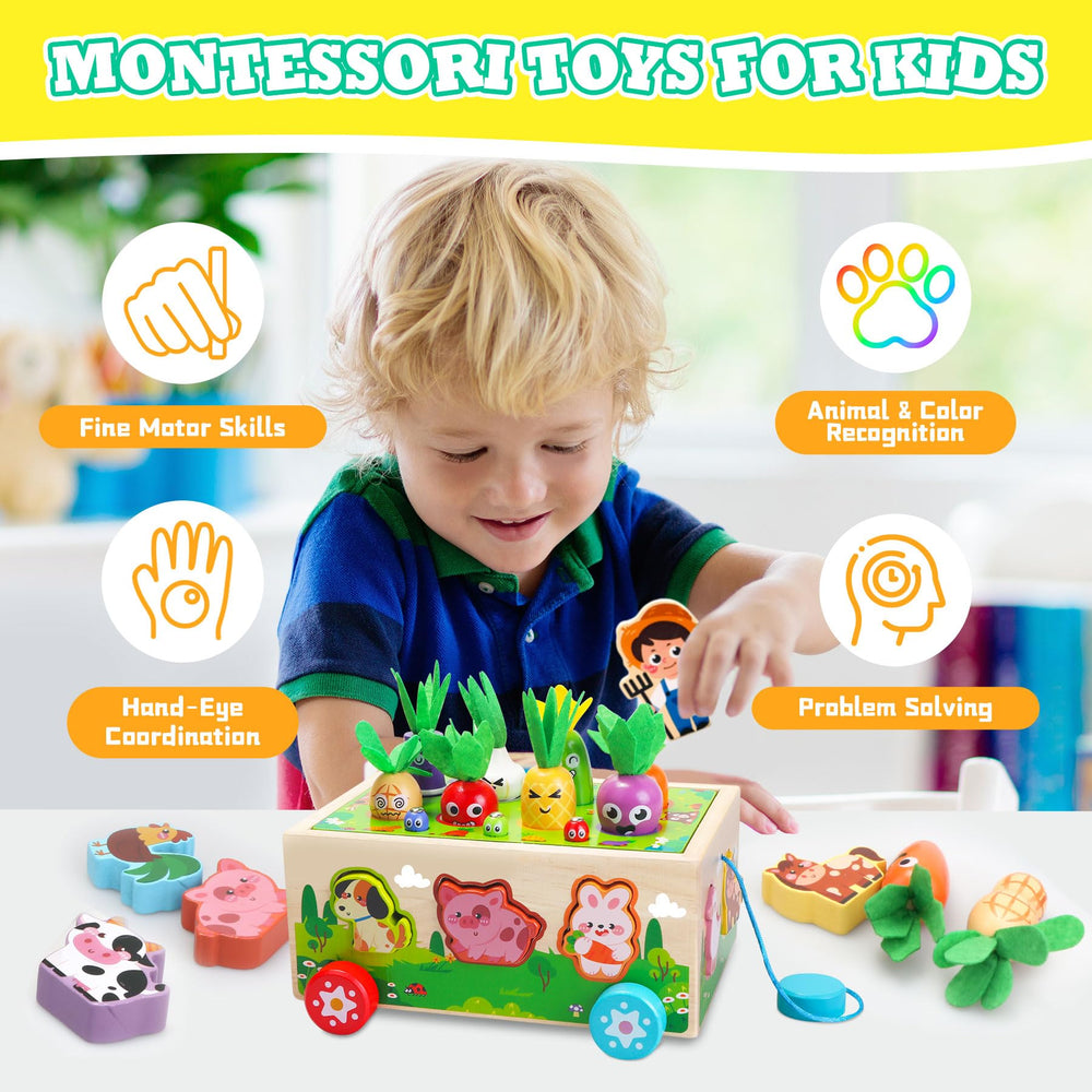 Tooysea vegetable pieces set with color-coded slots for sorting and counting