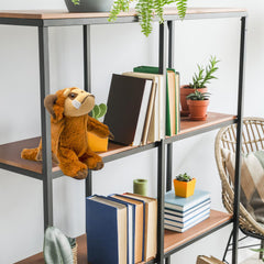 Cuddly accent for kids and collectors alike.