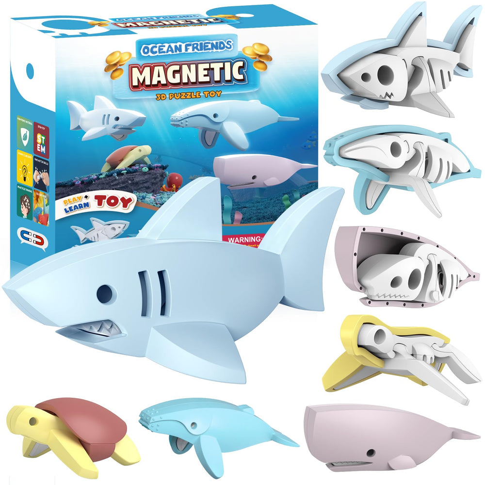 Toycost Magnetic Ocean Turtle assembly for hands-on learning and fine motor practice.