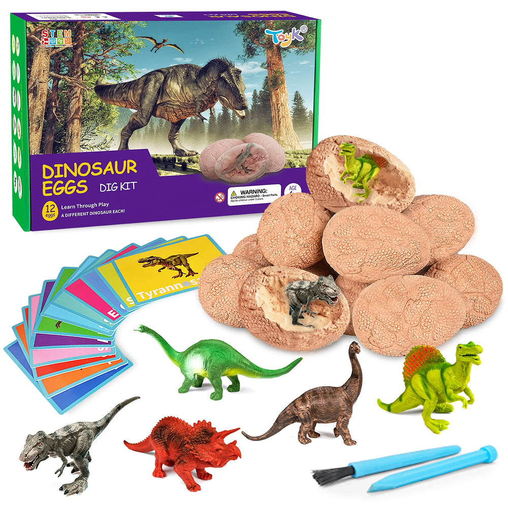 Toyk Dig Up Dinosaur Eggs packaging, ideal gift presentation.