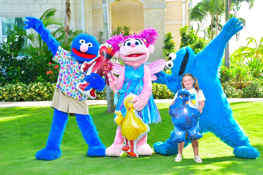 Toyland Sesame Street wall-decor friendly balloons for party setup