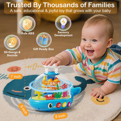 Toylfort BPA-free infant toy for safe, extended play.