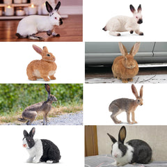 Toymany Easter bunny figure French Lop rabbit for versatile decor and play