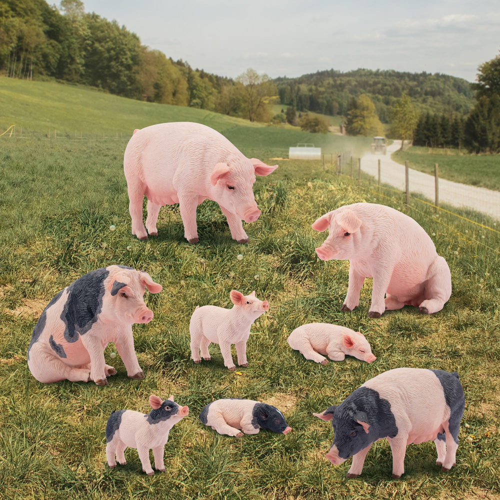 Toymany safety materials: non-toxic PVC and odorless paint for peace of mind