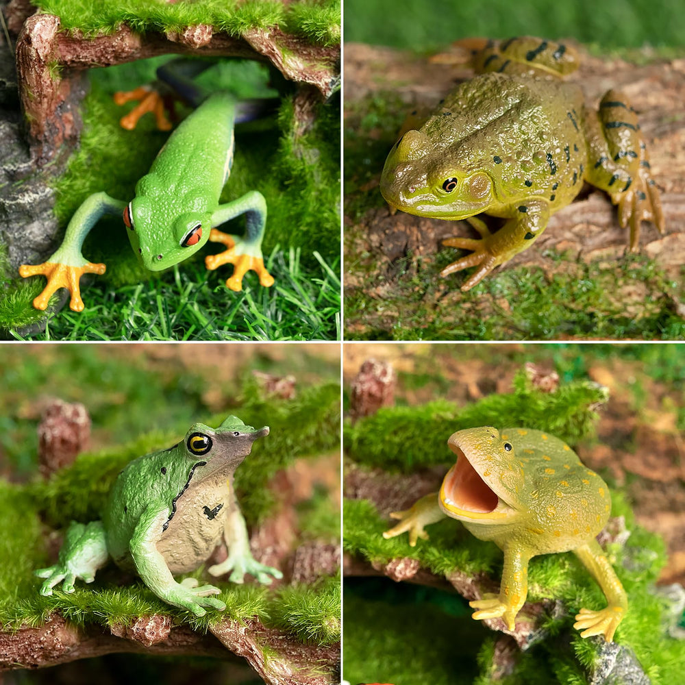Toymany frog toy figures Australian Green Tree Frog adds lifelike decor