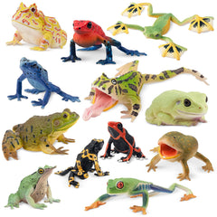 Toymany frog toy figures Surinam Horned Frog for vivid shelf display