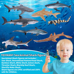 Toymany Great White Shark figurine for educational storytelling and bath fun