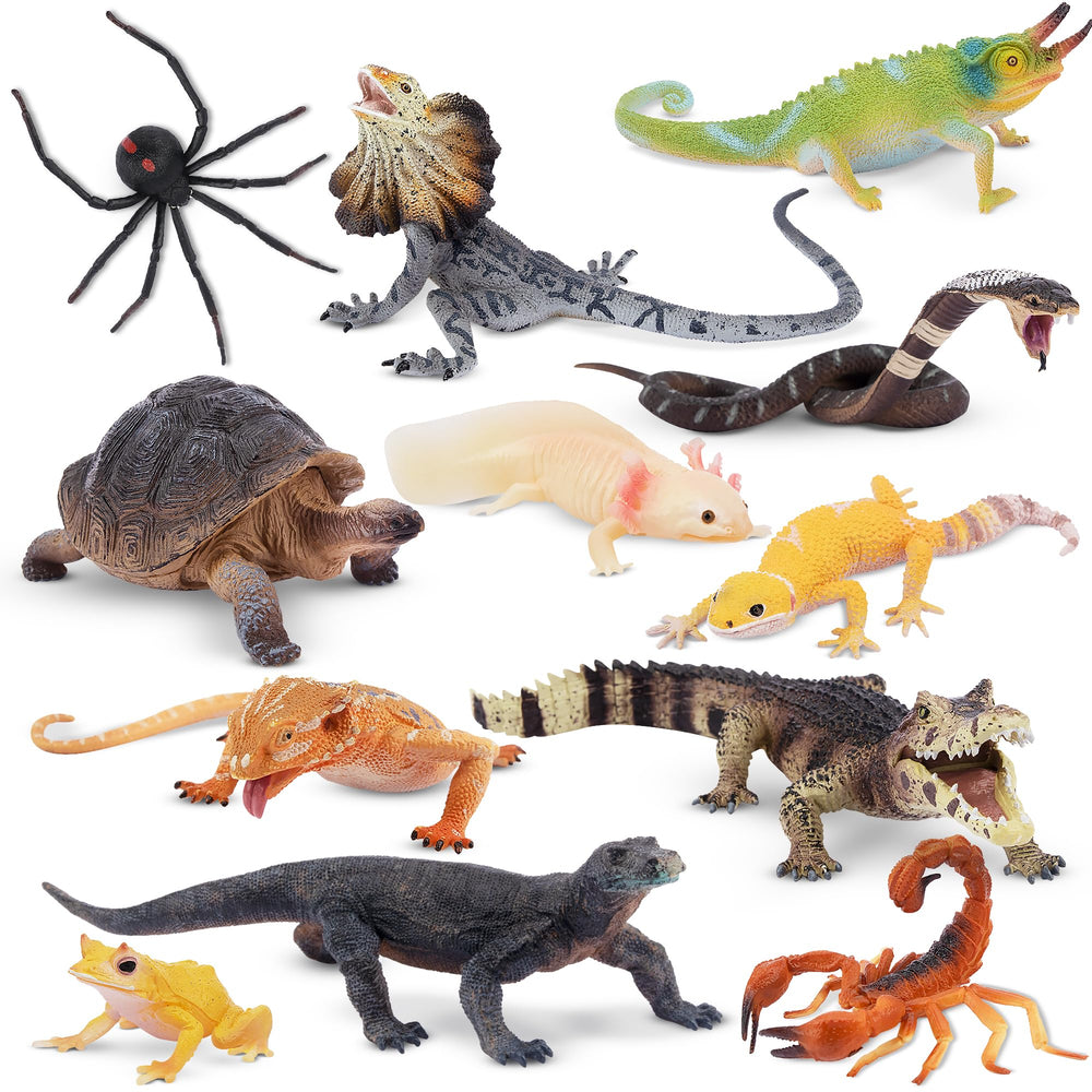 TOYMANY Komodo Dragon figurine for classroom display and imaginative play