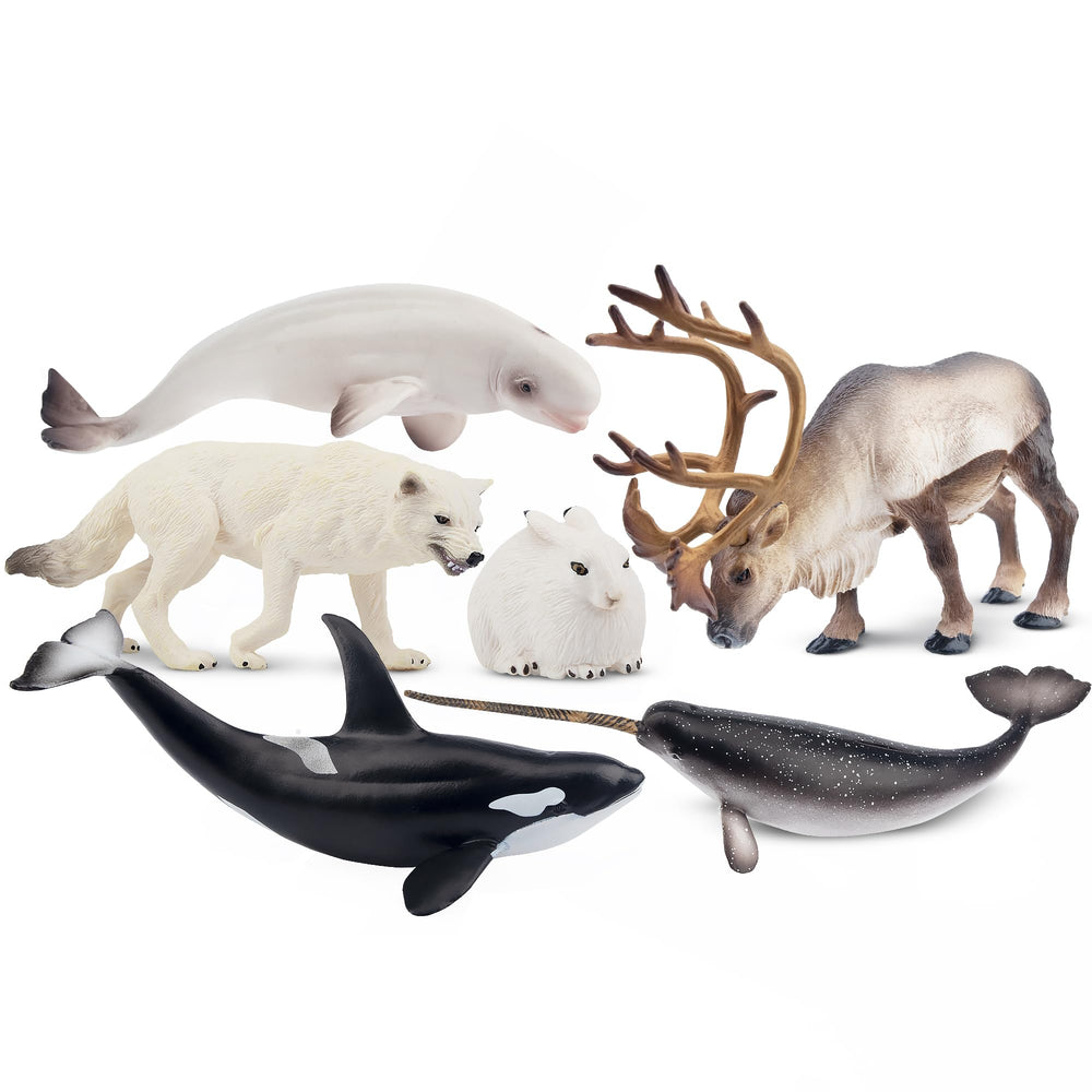 Toymany beluga whale figure for ocean learning and display