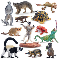 Toymany radiated tortoise figurine for classroom display and nature inspired play.