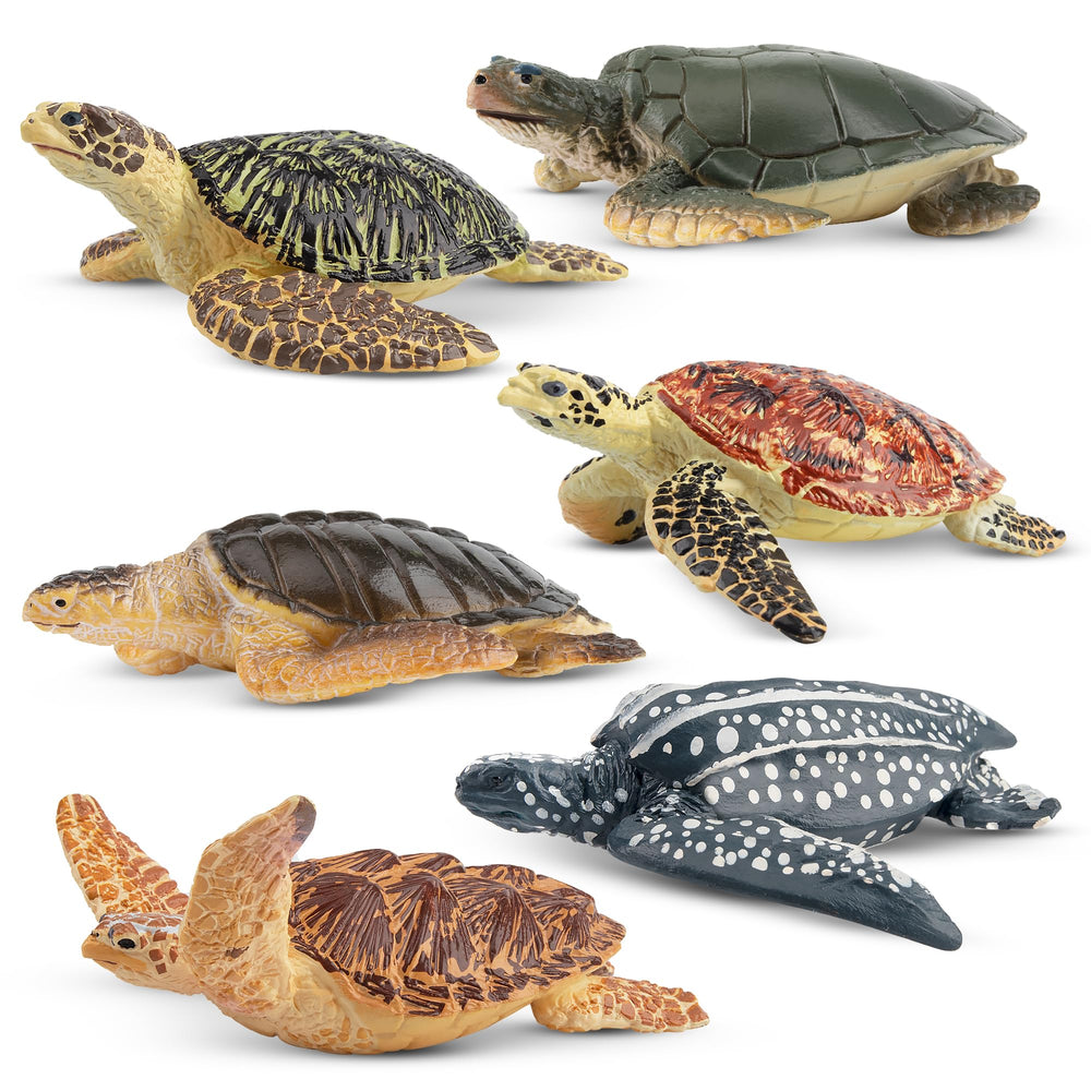 Toymany sea turtle figurines blue showcase realistic textures for educational play.