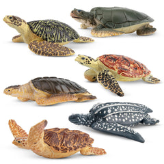 Toymany sea turtle figurines blue showcase realistic textures for educational play.