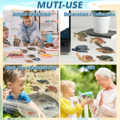 Toymany sea turtle figurines brown inspire nature-themed setups and crafts.