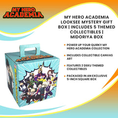 Box packaging from Toynk LookSee highlights premium collector details