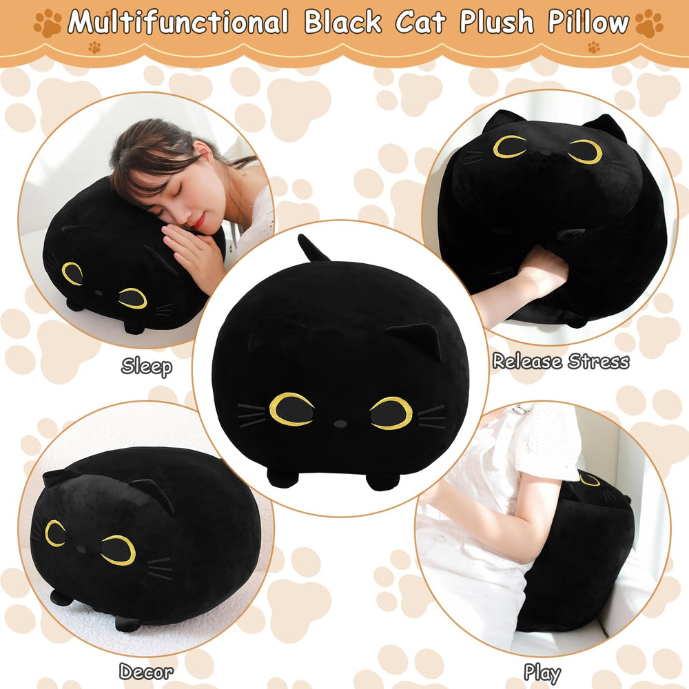TOYSYM gift-ready plush ideal for birthdays and holidays