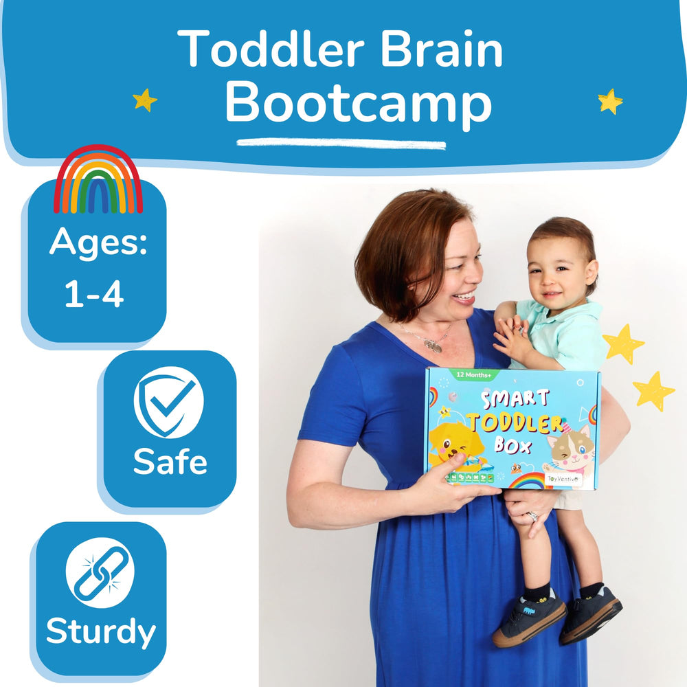 TOYVENTIVE 123 book illustrations encourage counting through bright images