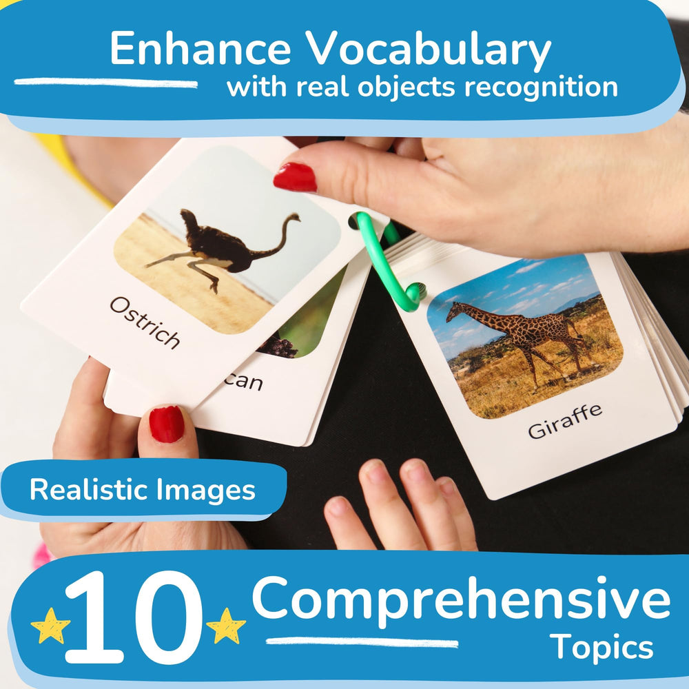 TOYVENTIVE 1+ year olds friendly cards make a thoughtful gift for curious toddlers.