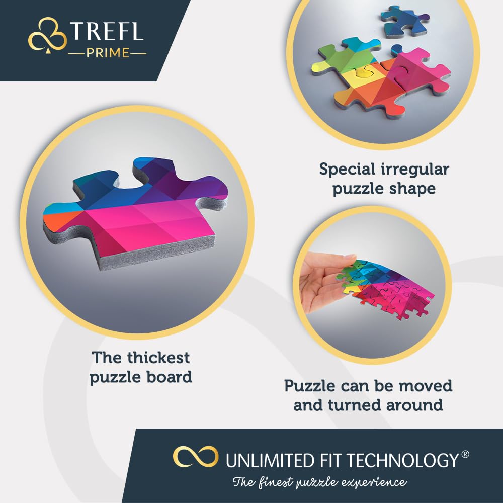 Trefl Dive into Underwater Paradise finished giant puzzle reveals a vivid ocean bottom