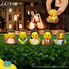Perfect gift for Friends fans Chandler Bing mini figure.