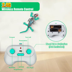 TWFRIC ready-to-play set gecko grey includes remote and charger for instant fun.
