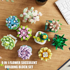 TYCOLE office and home decor display ideas with 9 in 1 set.