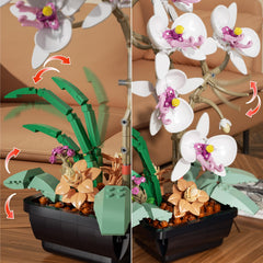 Ubrixmen Orchid Bonsai rotation reveals dynamic angles in the model.