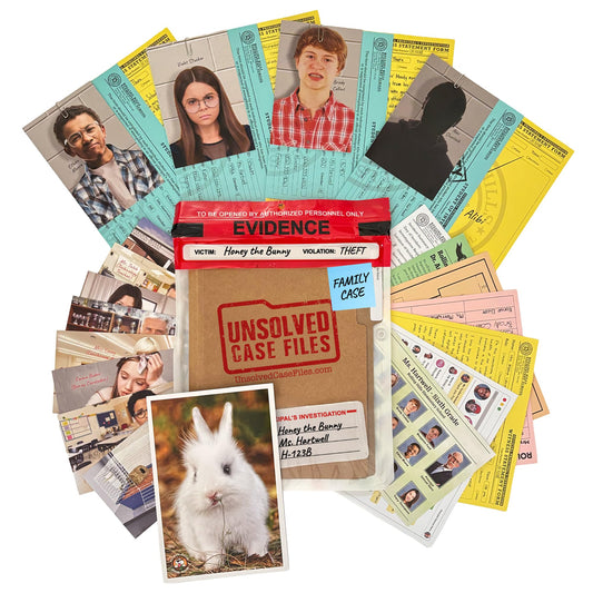 Honey the Bunny box packaging showcases the family-friendly mystery setup for collaborative play.