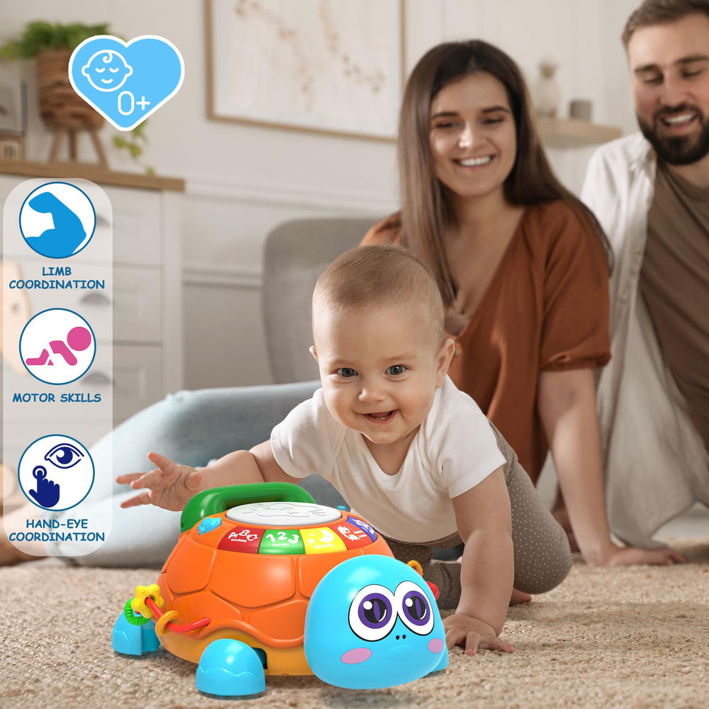 Ussybaby turtle toy back drum interaction encouraging exploration and play.
