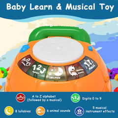 Ussybaby turtle toy in crawling action promoting tummy time and exploration.