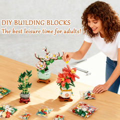 USVillGO Botanicals bonsai assembly instructions help beginners build with ease.