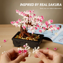 Vamuss cherry tree display in living room bedroom or office enhances space.